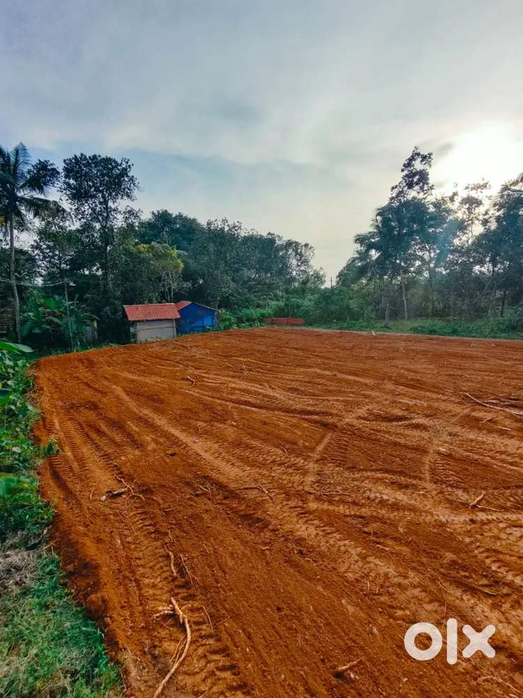 5, 10 cent പ്ലോട്ട് തിരിച്ച് വസ്തു വില്പനക്ക് കരവാരം തോട്ട ക്കയാട്