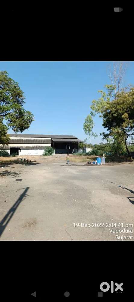 Plot with shade for lease