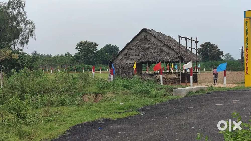 கடலூர் Guntur