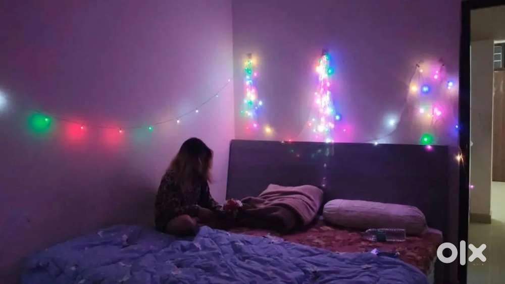 1 roommate girl /smoking allow independent near it park main