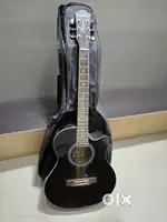 Guitar with pick up