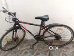 Gear bicycle