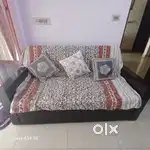 Sofa cum Bed
