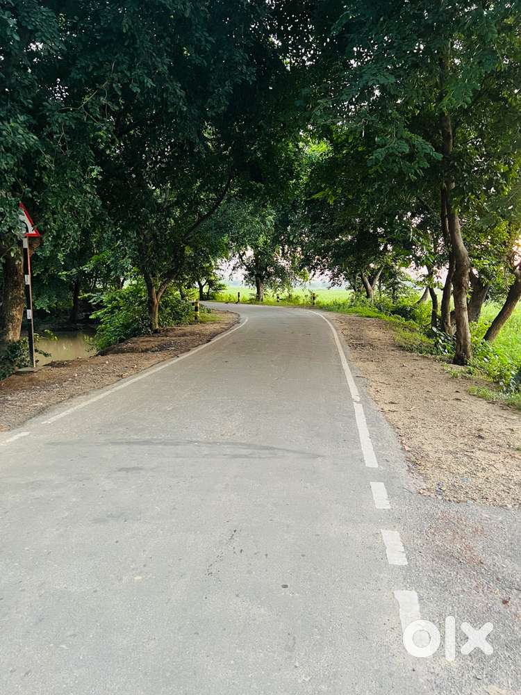11 bigha khet faridpur Padhera road