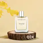 Perfume Wholesale - Teapip