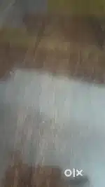 Delivery job