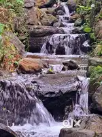 Wayanad Risort site