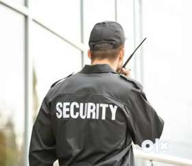 Needed security guard with valid driving licence