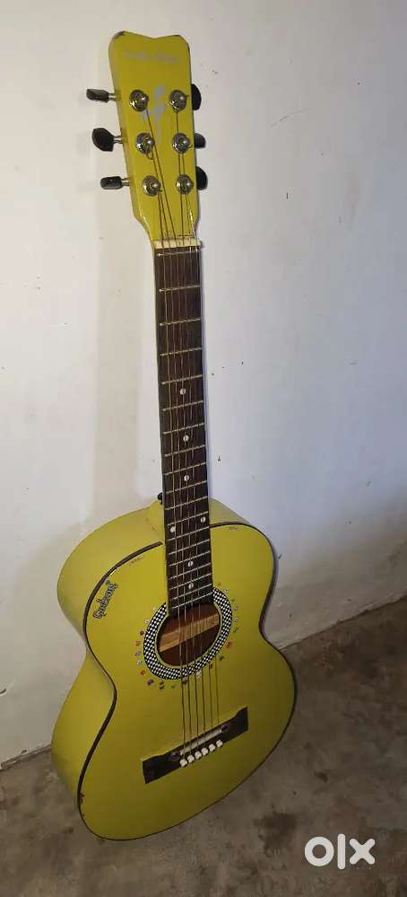 Brand new guitar