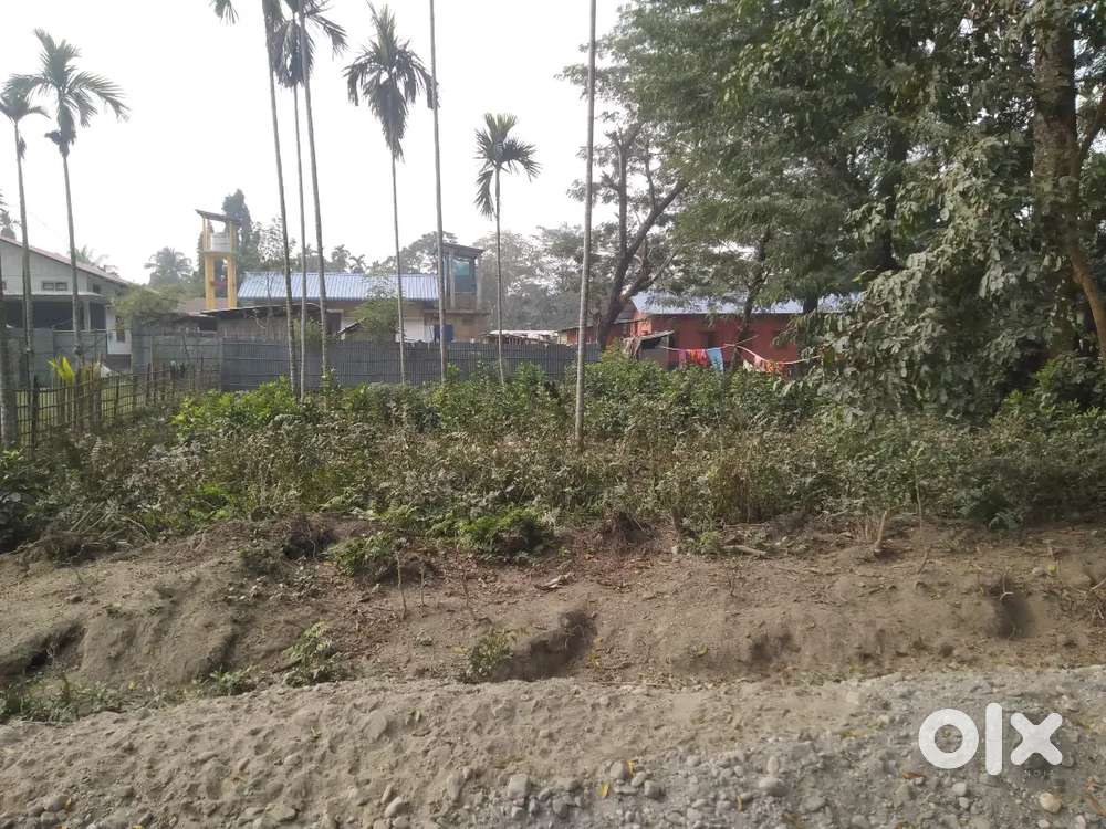 2katha land for sale ! Urgent .Tangla