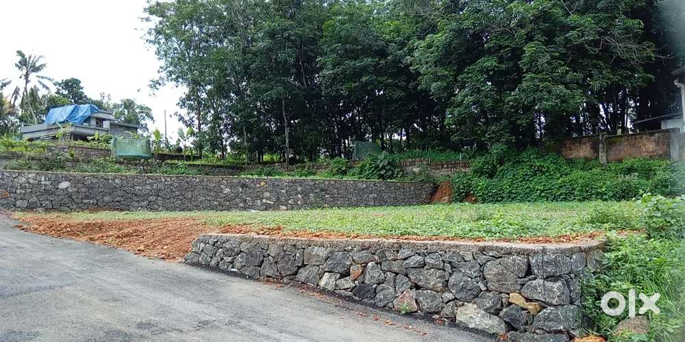 Ettumanoor ernakulam root muttuchira 8,10 cent, asking price 160000