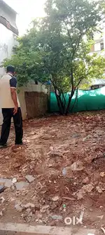 Land For Sale & Rent