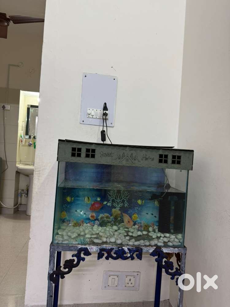 Full time house maid required