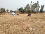 100 , 200 ,300 ,400, 500 guj residential plot for sale