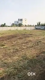 16 Guntas Farm Land for Sale at Ibrahimpalle, chevalla,Telangana