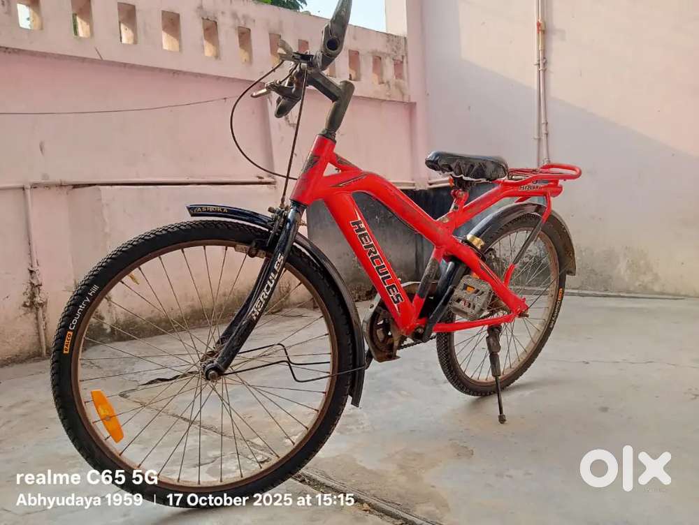 Brut model cycle for children