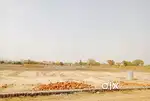 बैंक लोन के साथ नोएडा एक्सप्रेसवे पर प्लॉट