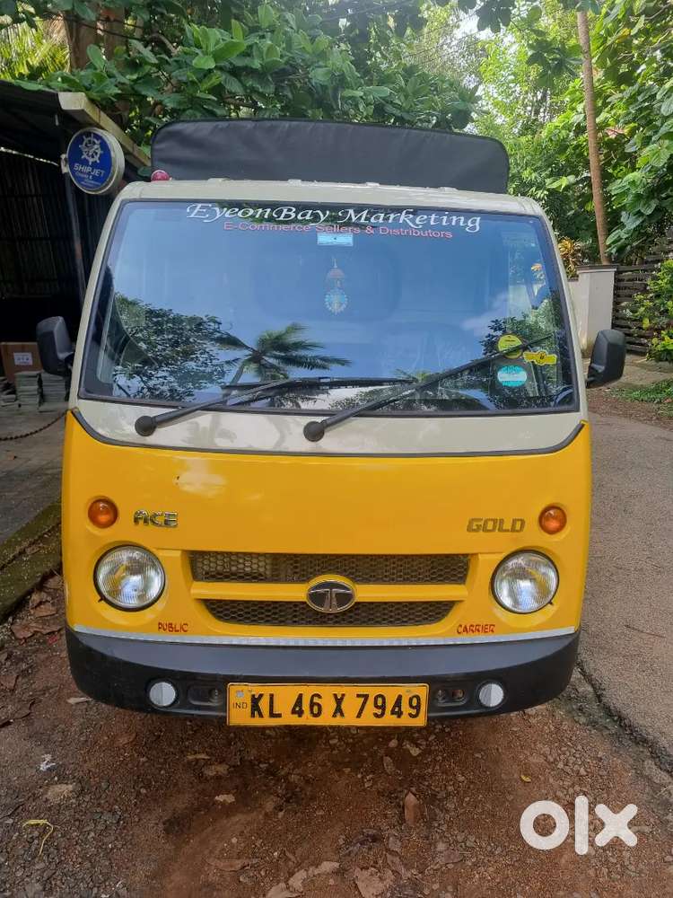 Tata ACE Gold Petrol
