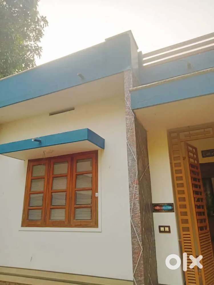 House and plot for sale