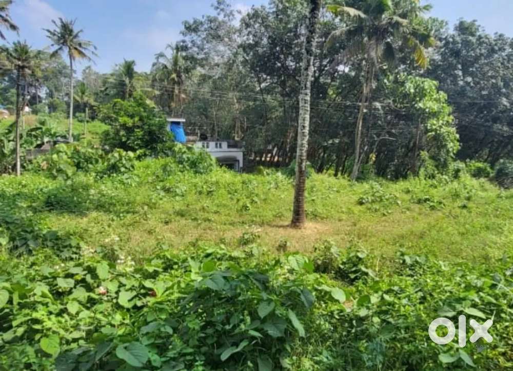 8 cent Square Plot for Sale