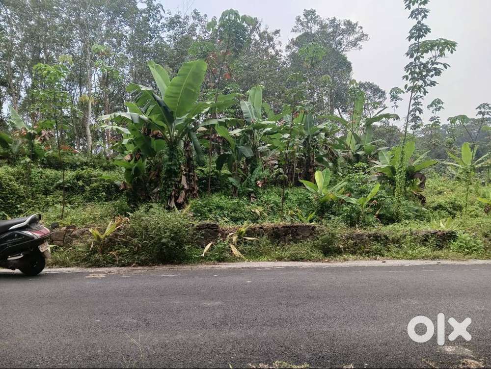 2.5 acre Agricultural land for sale near Sabarimala Greenfield Airport