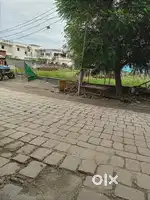 मुर्गीफार्म 6000 बचौ का