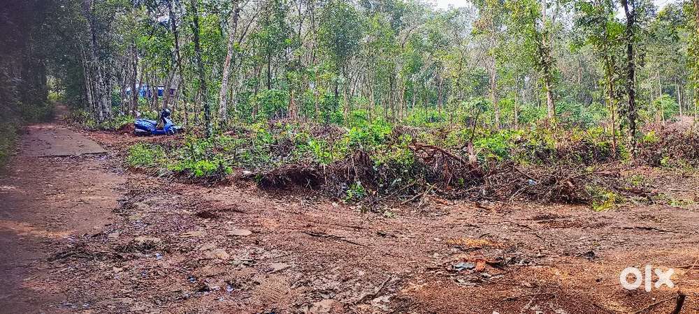 Pallickathod.12 cent plot. 80000 Rs.. cent.