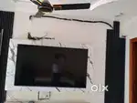 LG TV 32 inch HD Ready LED TV
