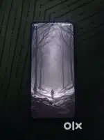Poco F4 5G