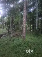 Plot of land covering 35 cents