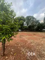 45 cent vacant land near to lulu kochi. 45 cent. Per cent 34 lakh