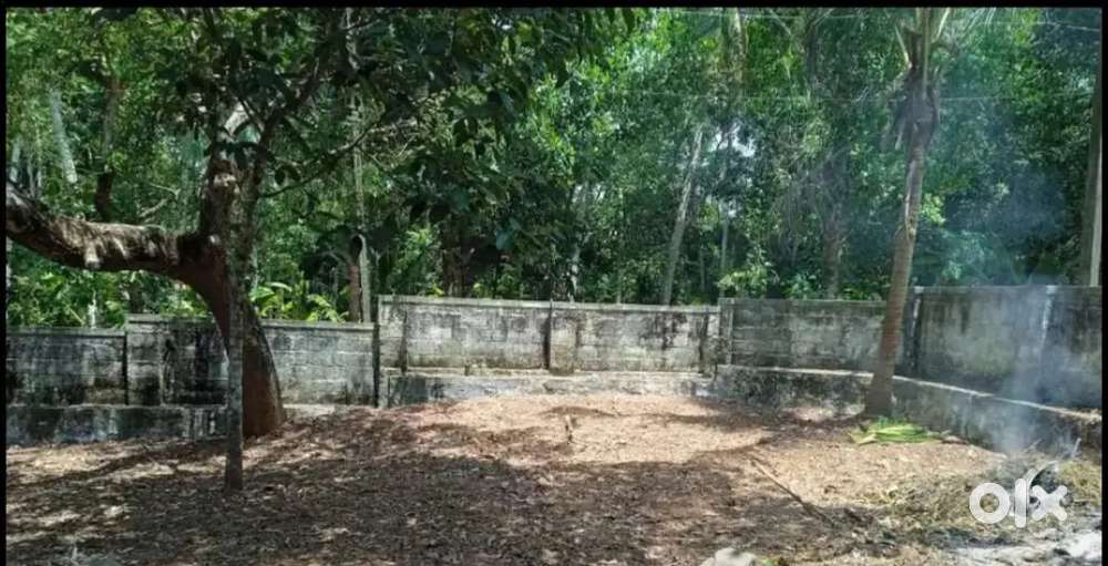3, 4 , 5 ,6 cents land for sale at kairali Nagar. 6 lakhs per cent