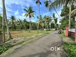 3AND MORE CENT ORGINAL LAND IN VARAPUZHA NEAR KONGORPILLY