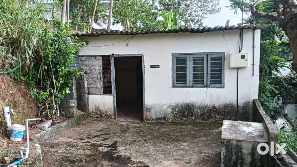 2 cent  house for sale Punchakkari TRIVANDRUM