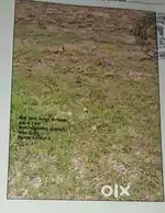 NA OPEN PLOT OF LAND