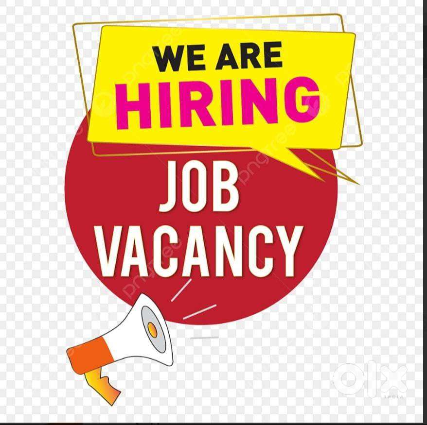 Accountant / Billing