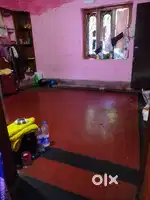 Need urgently one girl roommate