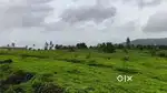 Waghabil panhla road by near rakshi