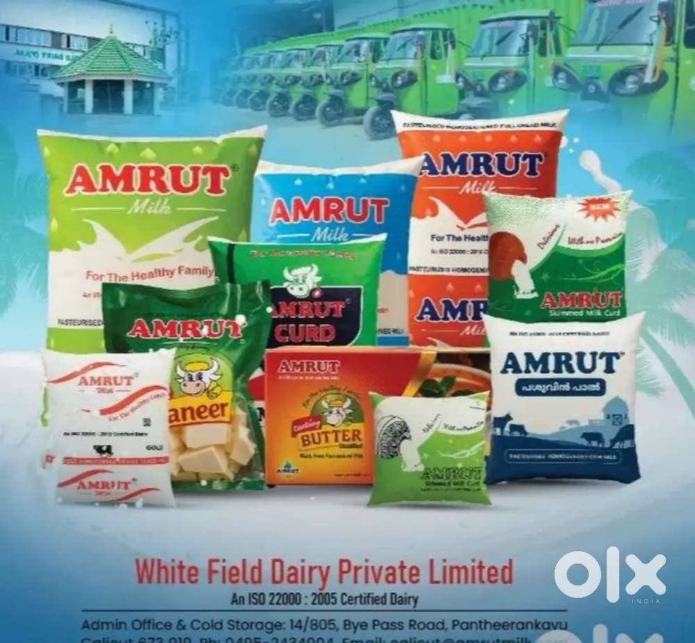 Marketing executive - Field Work