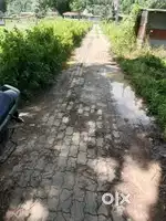 Satgaon narangi amsing jorabat