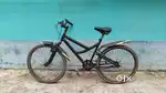 Mint condition running cycle