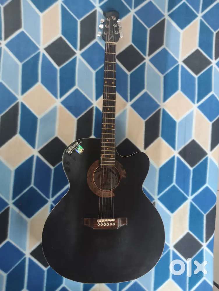 Guitar with cover