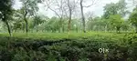 Ready to Demarcate Farmland  available for sale in Gated Society