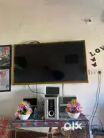 55in Haier tv& f&d brand sound boxs