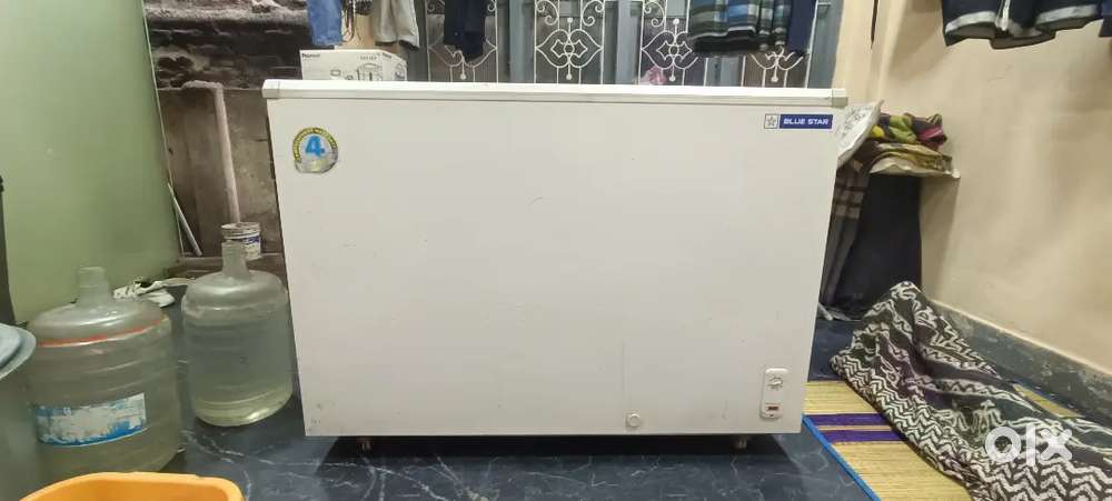 Bluestar 500 litre Double Door Deep Freezer