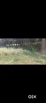 Near rasalpur bajarang bali mandir