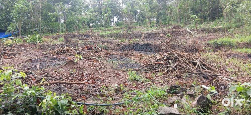 Plot for Sale