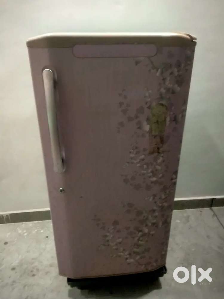 The fridge is in good condition 10000