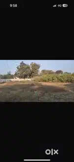 Shiholi chiloda
