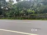 PUTHENCRUZ NH85 FRONTAGE 98 CENT HILLTOP THIRUVANKULAM TRIPUNITHURA